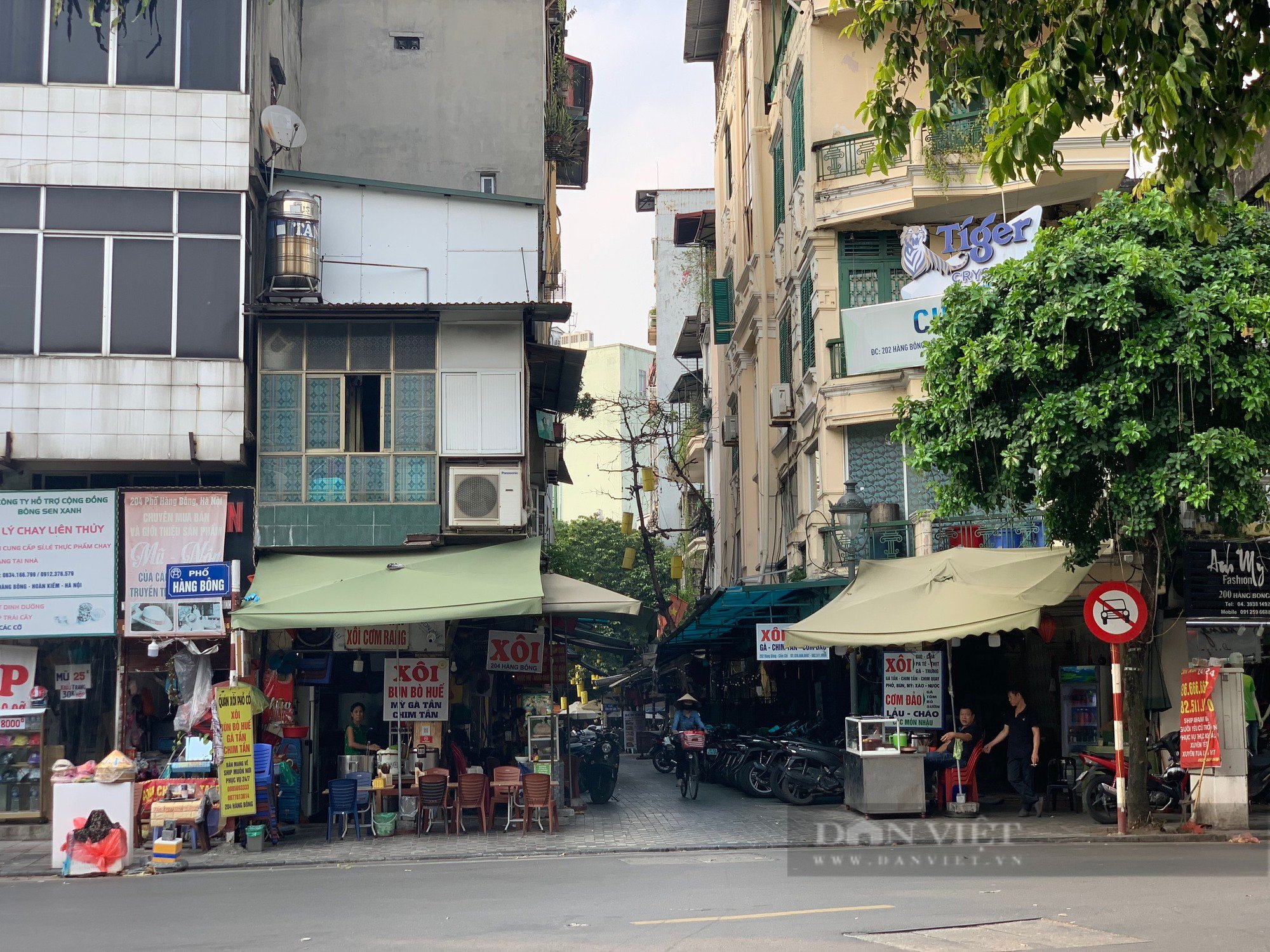 Điều ít biết về con ngõ có cái tên Cấm Chỉ “độc nhất vô nhị” ở Hà Nội - Ảnh 2.