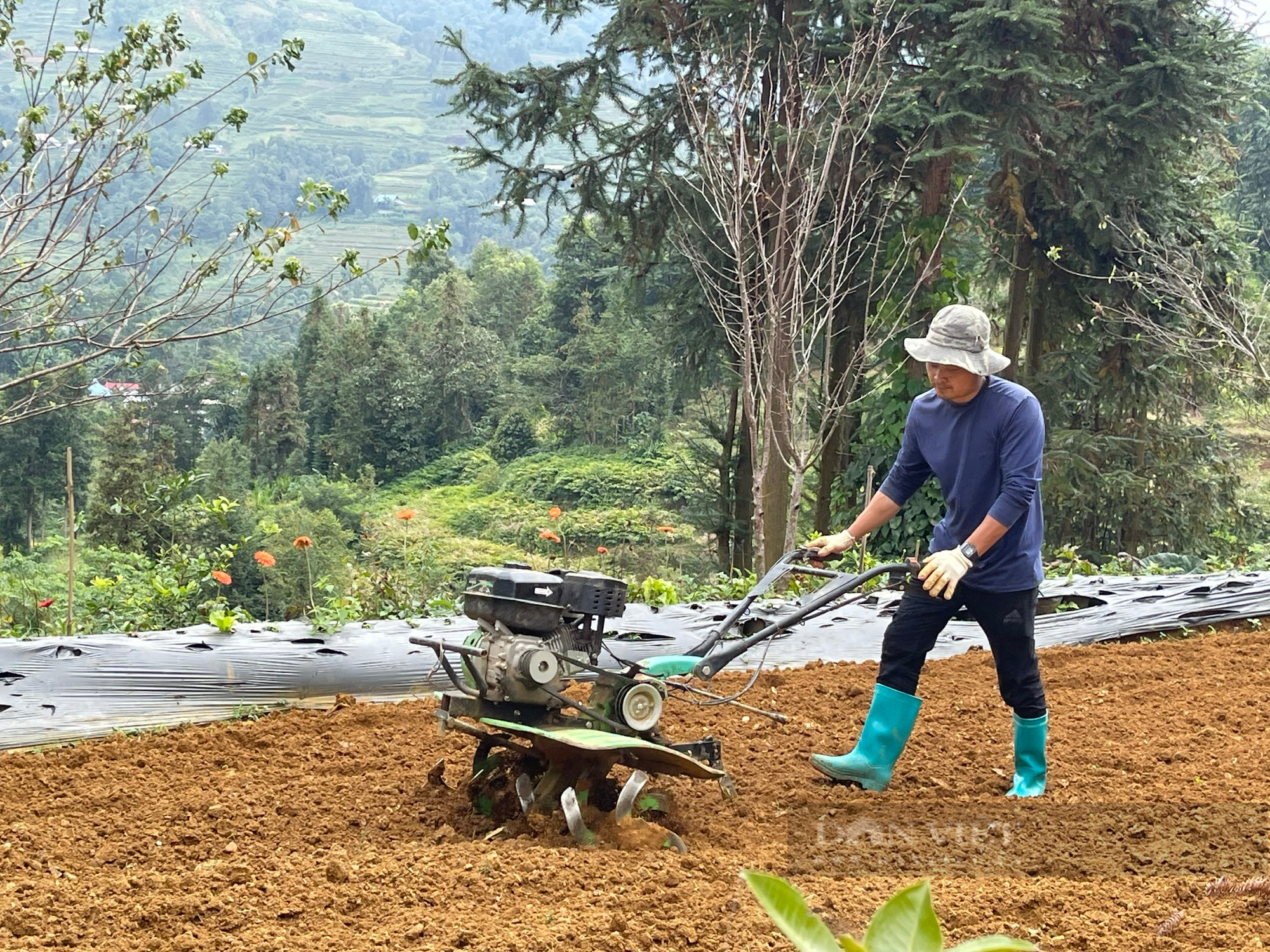 đi làm việc ở hàn quốc 