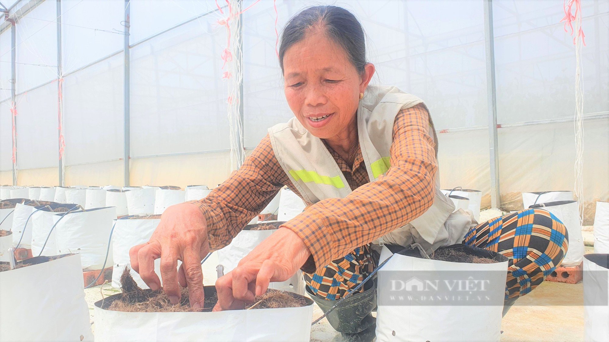 Biến đất bỏ hoang thành trại dưa lưới vàng óng to bự, anh nông dân khiến mọi người trầm trồ, thán phục - Ảnh 11.