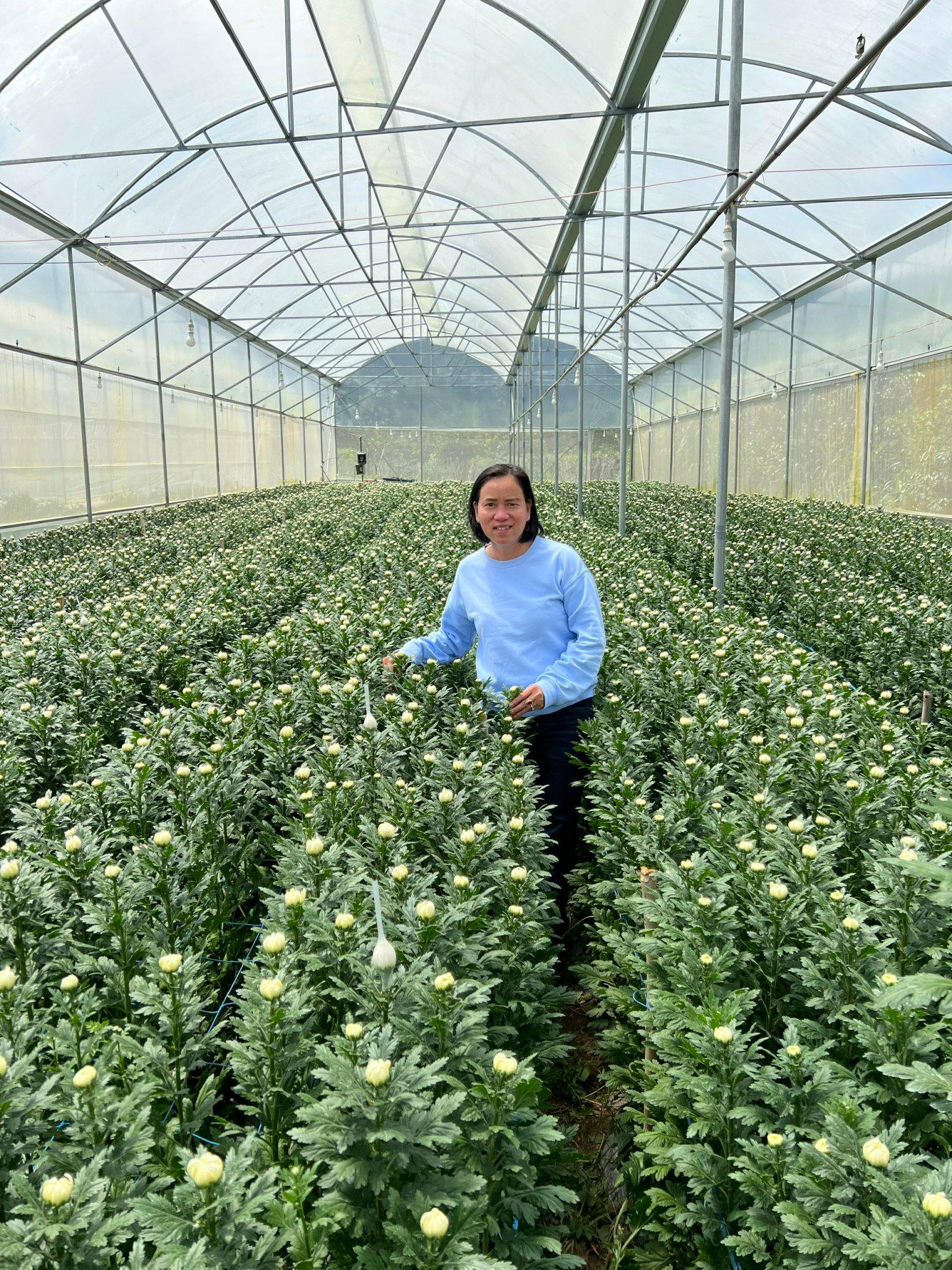 Nữ doanh nhân 20 năm nặng lòng với người nông dân - Ảnh 3.