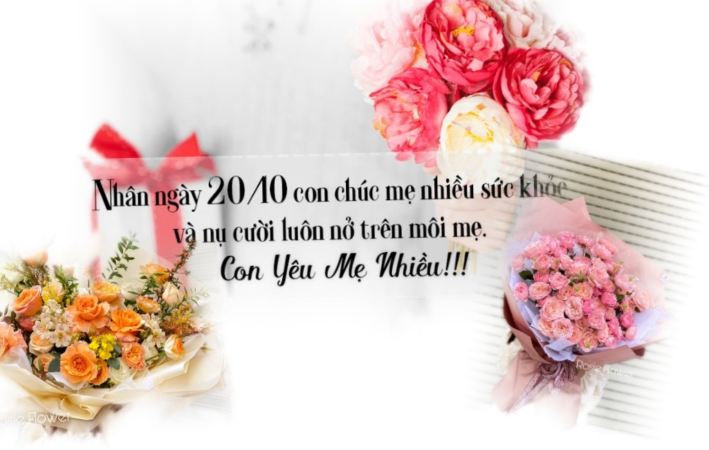 45 lời chúc 20/10 hay nhất, ý nghĩa nhất dành cho những người phụ nữ bạn yêu thương, quý mến - Ảnh 1.