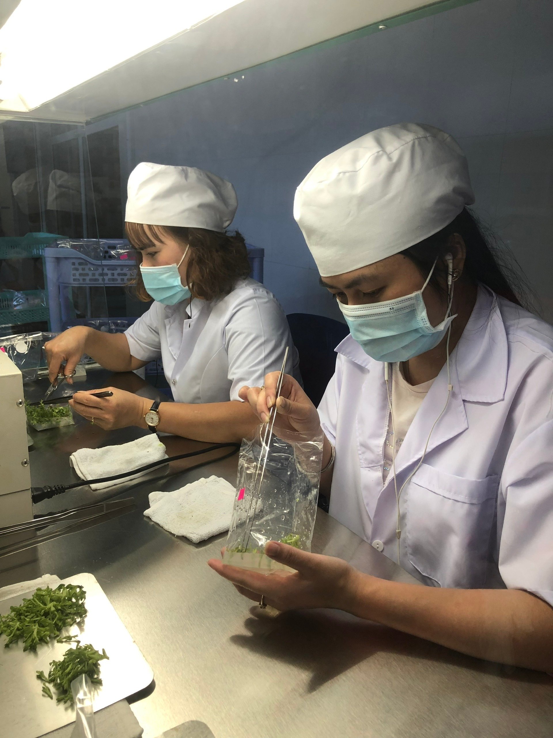 Nữ doanh nhân 20 năm nặng lòng với người nông dân - Ảnh 2.