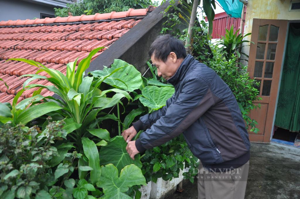 Hải Dương: Xử lý rác thải thành phân hữu cơ, môi trường sạch, nông dân khỏe - Ảnh 5.