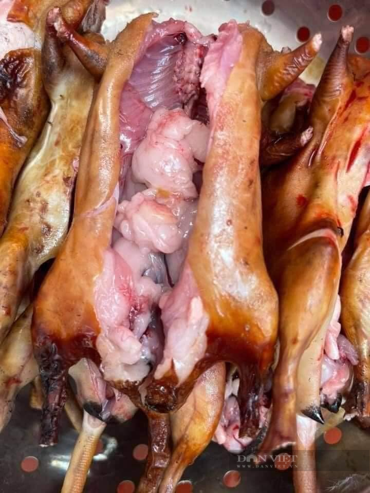 Ngoại thành Hà Nội vào mùa săn chuột đồng - Ảnh 6.