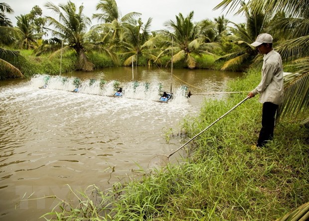 Hạn mặn tác động đến phát triển kinh tế và doanh nghiệp ĐBSCL - Ảnh 2.