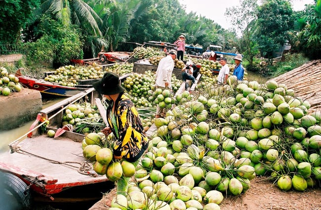 Xúc tiến mặt hàng nông, thủy sản của tỉnh Bến Tre vào thị trường các quốc gia Hồi giáo - Ảnh 2.