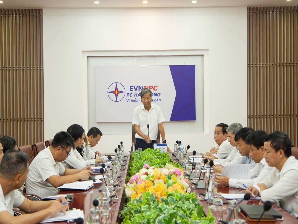 EVNNPC rà soát tiến độ các dự án đầu tư xây lưới điện tại Thành Phố Hải Phòng - Ảnh 1.