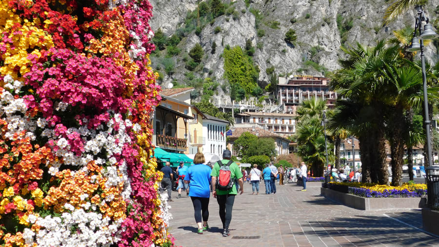 Ngôi làng Italy được ví như 'thần dược' giúp người dân khỏe mạnh - Ảnh 1.