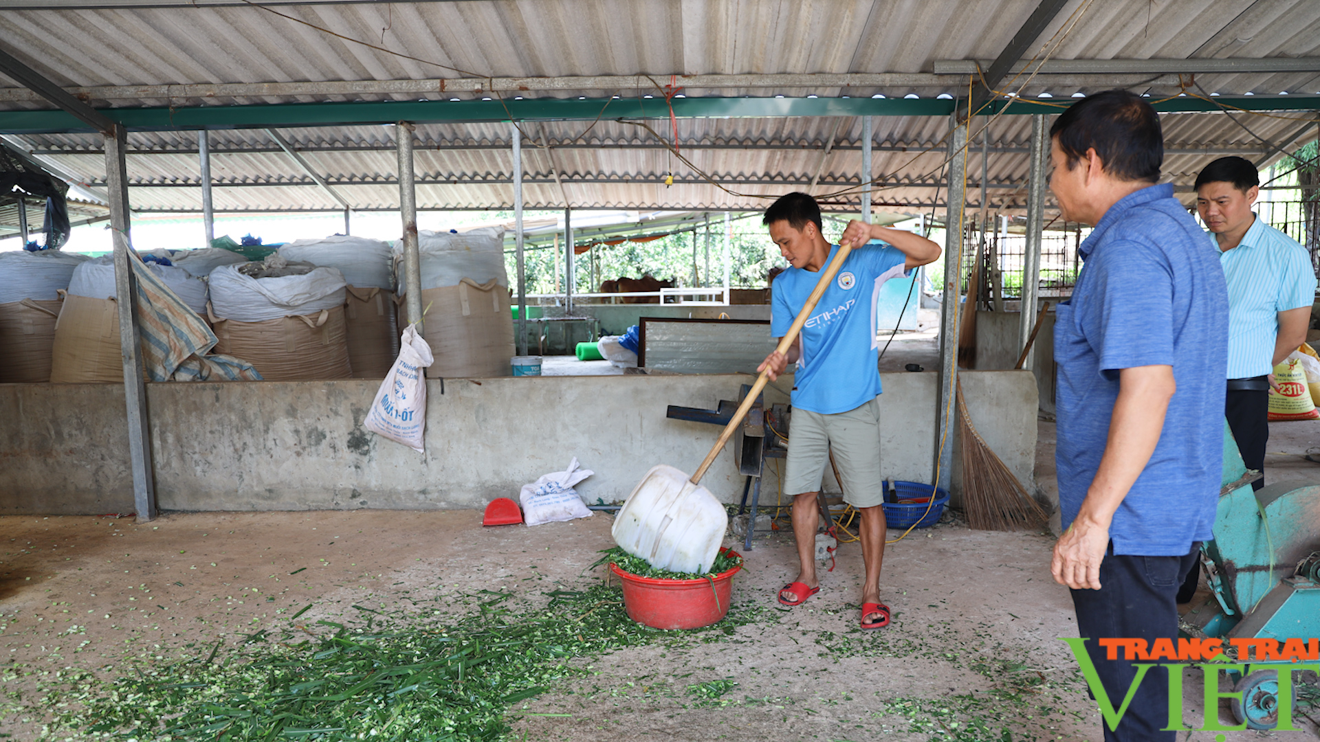 Khi nông dân áp dụng tiến bộ khoa học kỹ thuật vào canh tác - Ảnh 9.