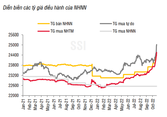 VND đã mất giá gần 9%, tâm lý gom giữ USD vẫn ở mức cao - Ảnh 1. VND đã mất giá gần 9%, tâm lý gom giữ USD vẫn ở mức cao - Ảnh 1.