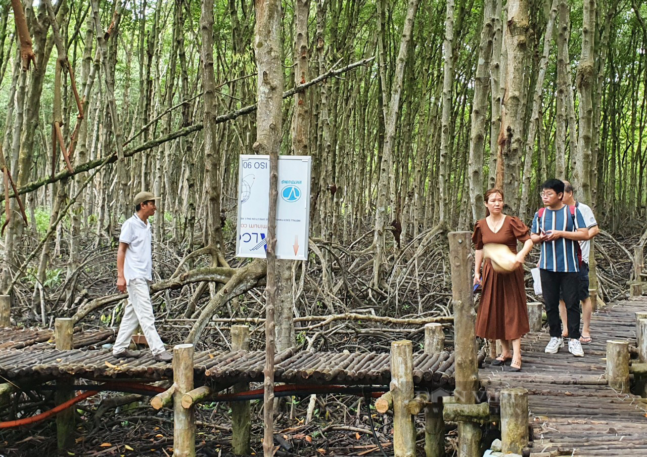 TP.HCM khai phá tiềm năng phát triển sản phẩm OCOP gắn với du lịch nông thôn - Ảnh 1.