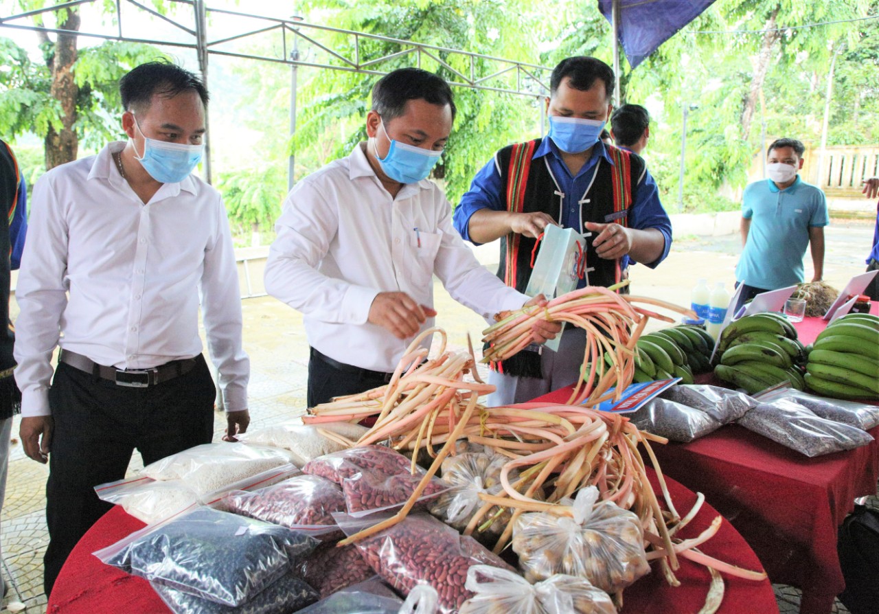 Những đặc sản nổi tiếng nào của Nam Giang "lên đời" OCOP? - Ảnh 1. Những đặc sản nổi tiếng nào của Nam Giang "lên đời" OCOP? - Ảnh 1.