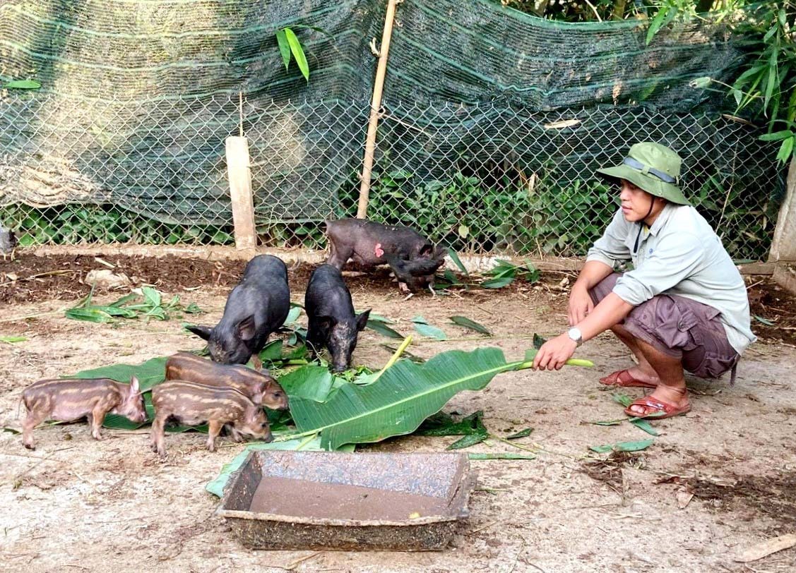 Những đặc sản nổi tiếng nào của Nam Giang "lên đời" OCOP? - Ảnh 3. Những đặc sản nổi tiếng nào của Nam Giang "lên đời" OCOP? - Ảnh 3.