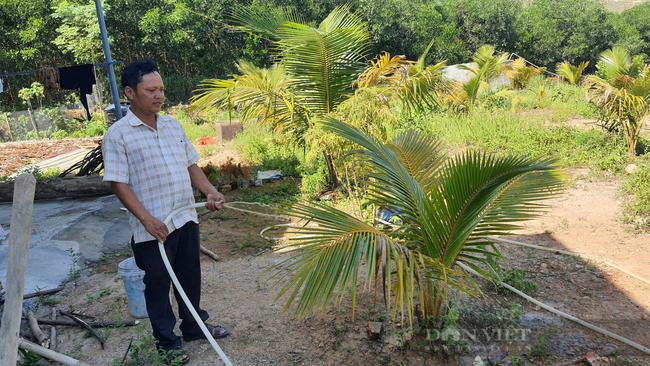 Đà Nẵng: Làng dân tộc Cơ Tu “lên đời” nhờ các mô hình kinh tế - Ảnh 5.