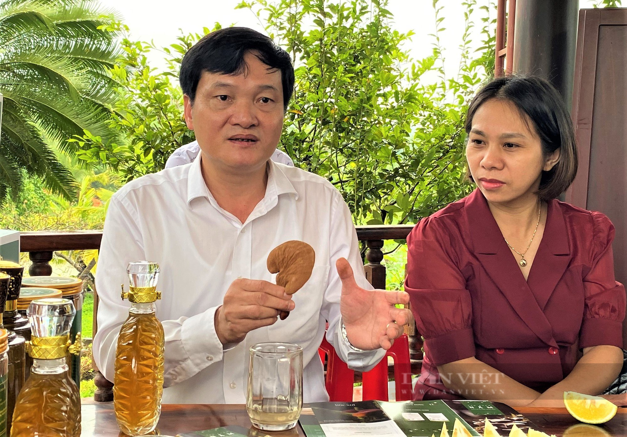 &quot;Mỏ nấm&quot; tiền tỷ dưới mái năng lượng mặt trời - Ảnh 4.
