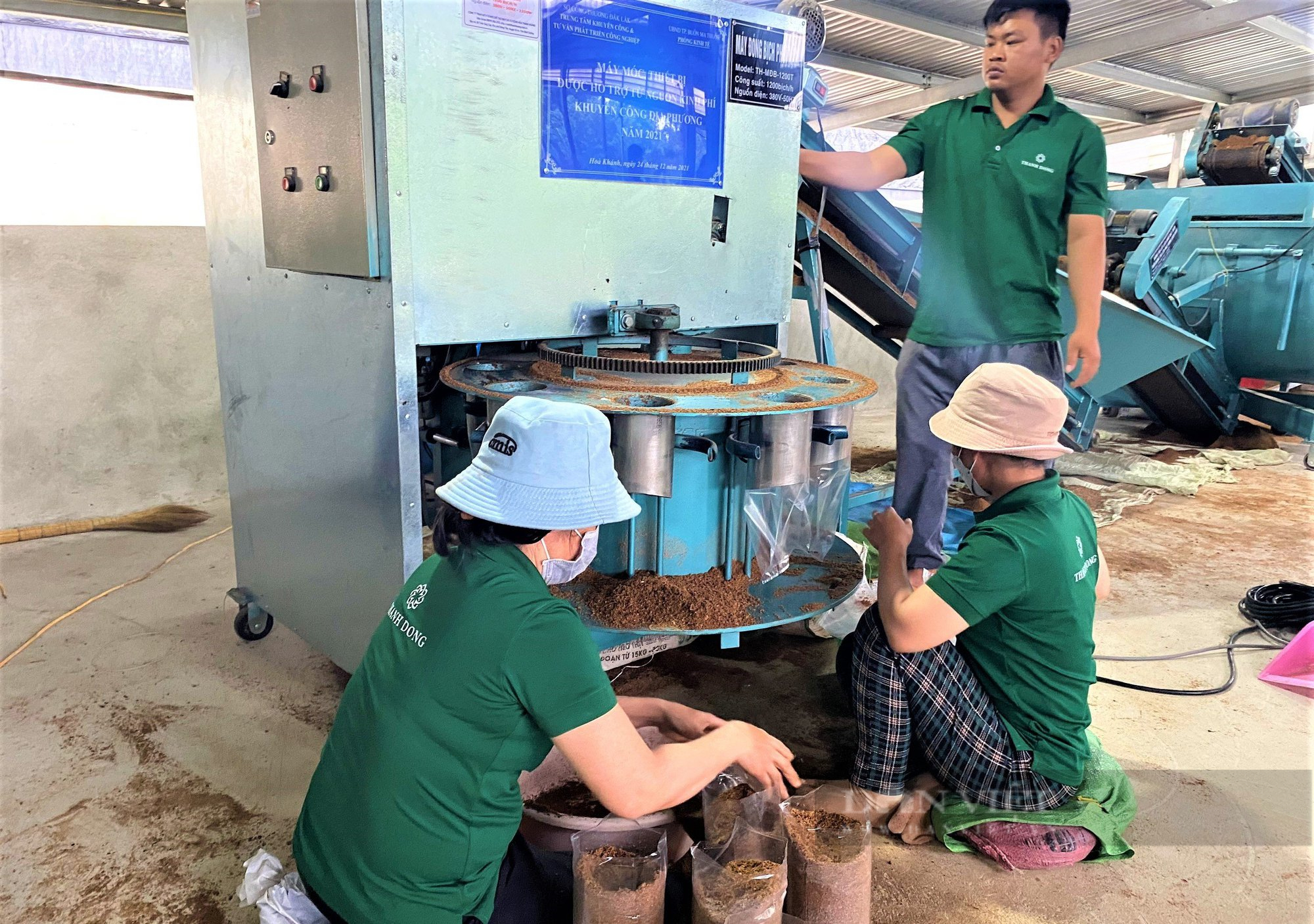 &quot;Mỏ nấm&quot; tiền tỷ dưới mái năng lượng mặt trời - Ảnh 2.