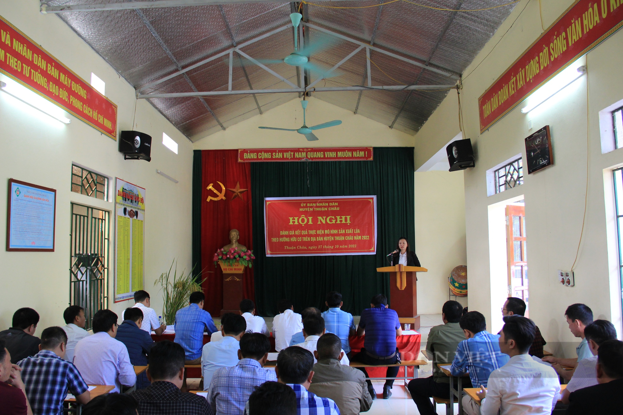 Sơn La: Hiệu quả mô hình sản xuất lúa theo hướng hữu cơ  - Ảnh 2.