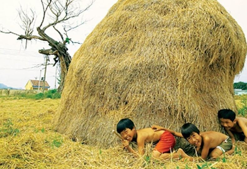 Ổ rơm của bà nội - Ảnh 1.