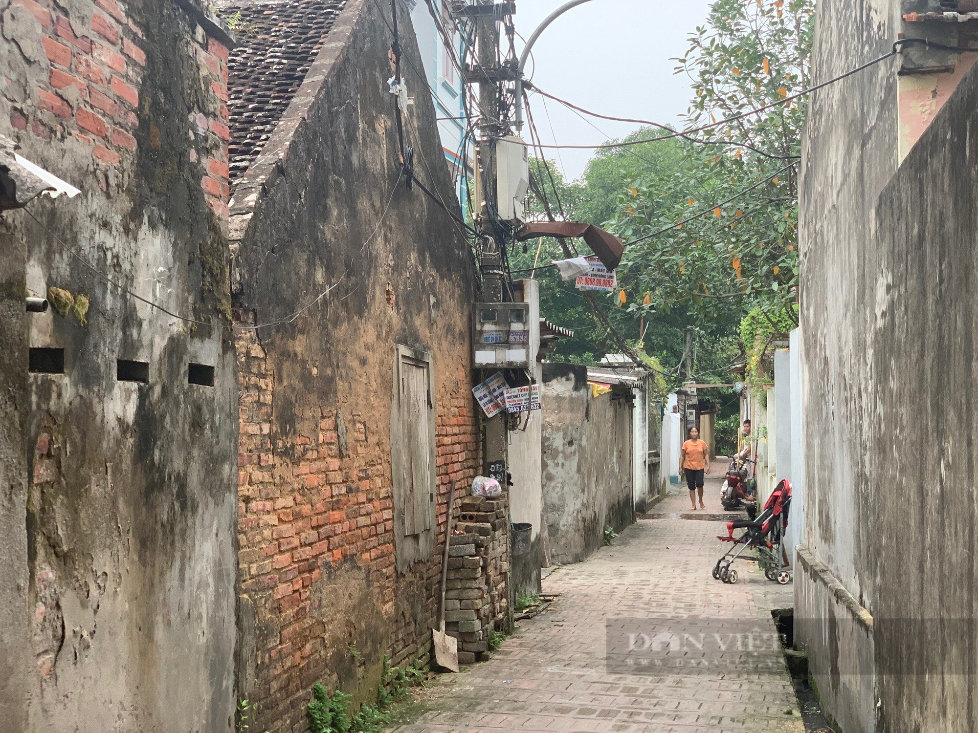 Mê mẩn trước vẻ đẹp yên bình của ngôi làng sản sinh ra trò múa rối nước nổi tiếng ở Hà Nội - Ảnh 9.