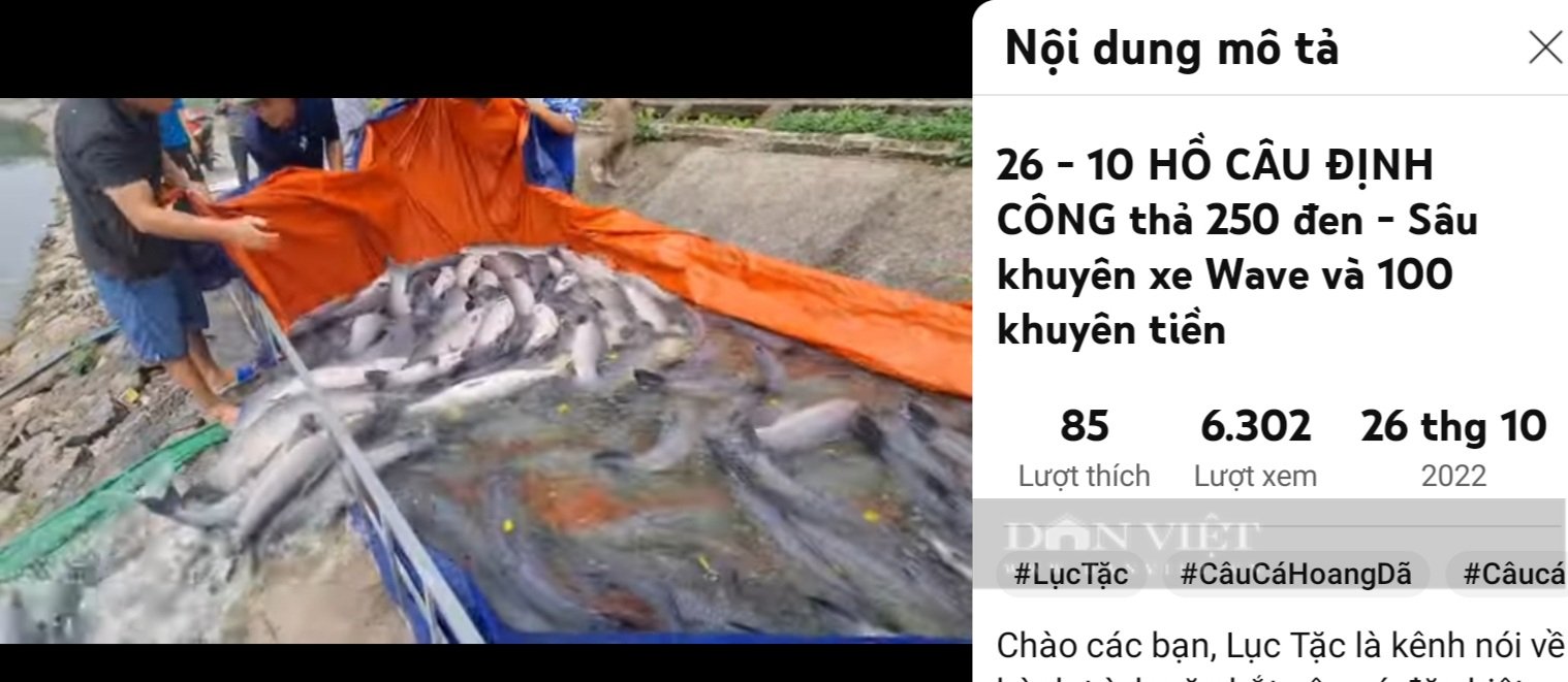 Vụ câu cá có thưởng trái phép ở hồ công ích: Tái diễn tình trạng tổ chức thả, câu cá trái phép - Ảnh 2.