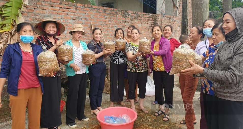 Đổi mới cách dạy nghề, tạo việc làm cho lao động nông thôn - Ảnh 2.