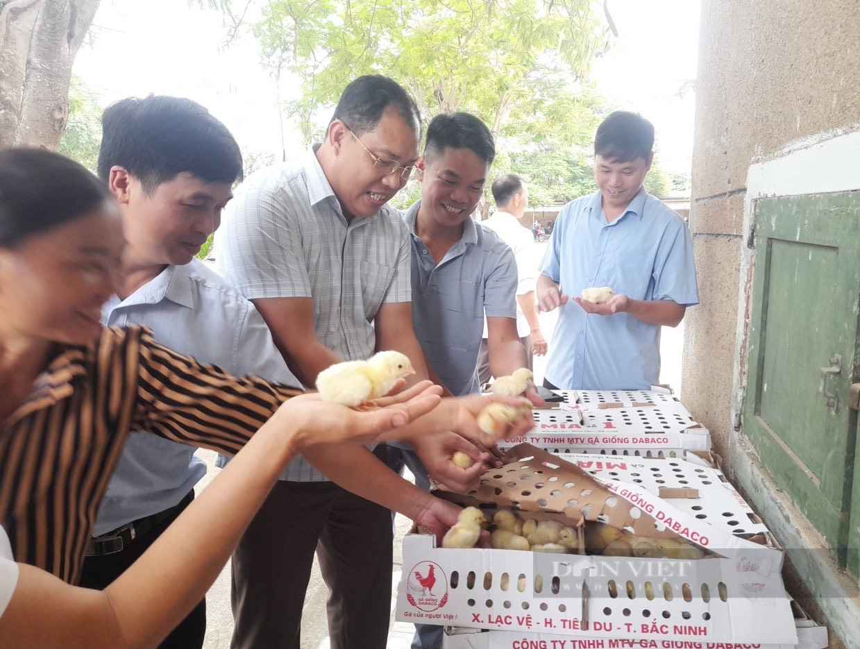Đổi mới cách dạy nghề, tạo việc làm cho lao động nông thôn - Ảnh 1.