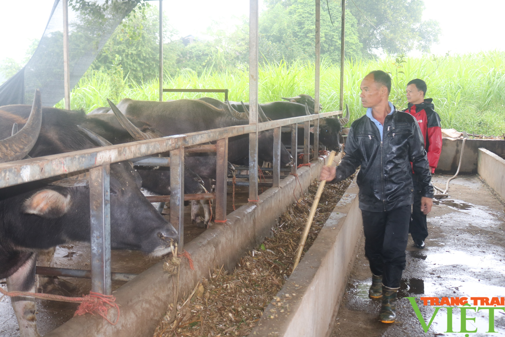 Nông dân Cao Phong (Hòa Bình) thi đua sản xuất kinh doanh giỏi - Ảnh 4.