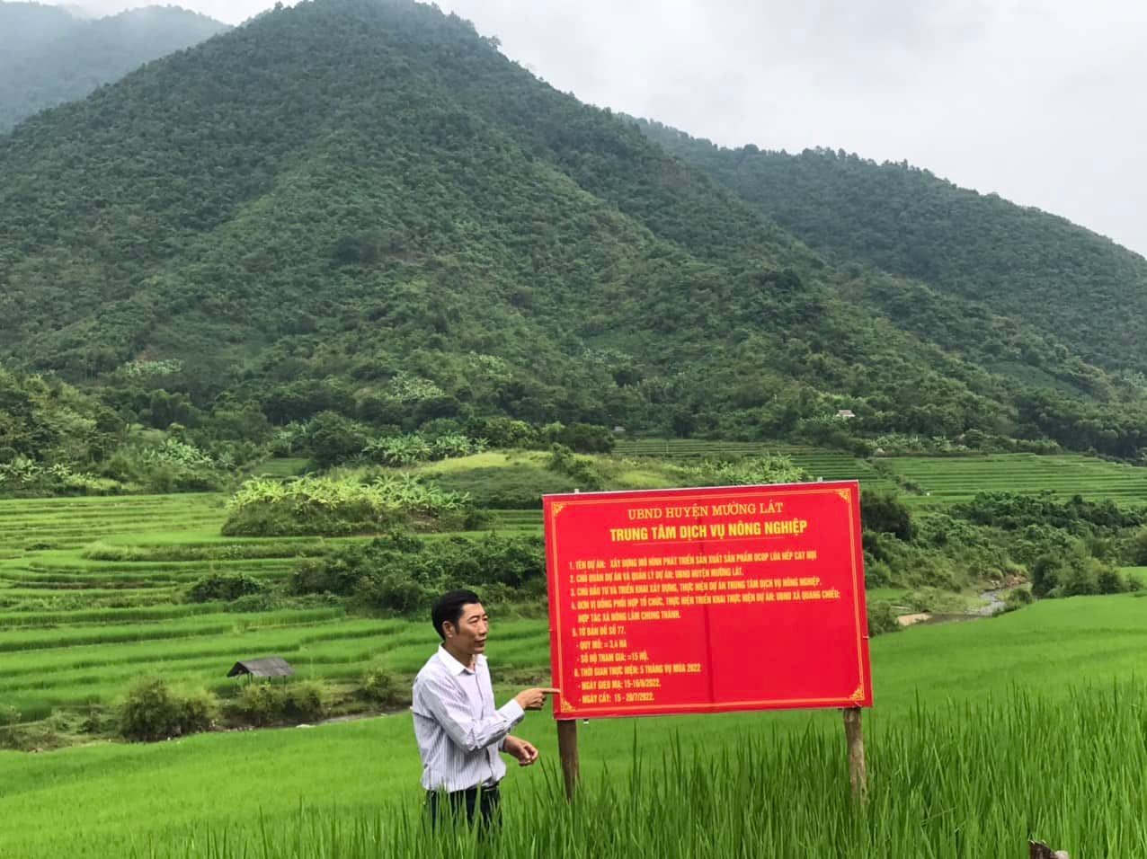 Sản phẩm OCOP đầu tiên của huyện nghèo nhất Thanh Hoá đạt 42 triệu đồng/vụ - Ảnh 3.