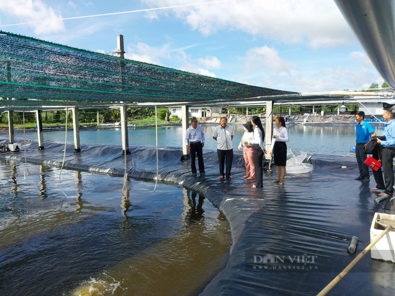 Agribank Chi nhánh huyện Cù Lao Dung tiếp sức về vốn, góp phần phát triển kinh tế địa phương - Ảnh 1. Agribank Chi nhánh huyện Cù Lao Dung tiếp sức về vốn, góp phần phát triển kinh tế địa phương - Ảnh 1.