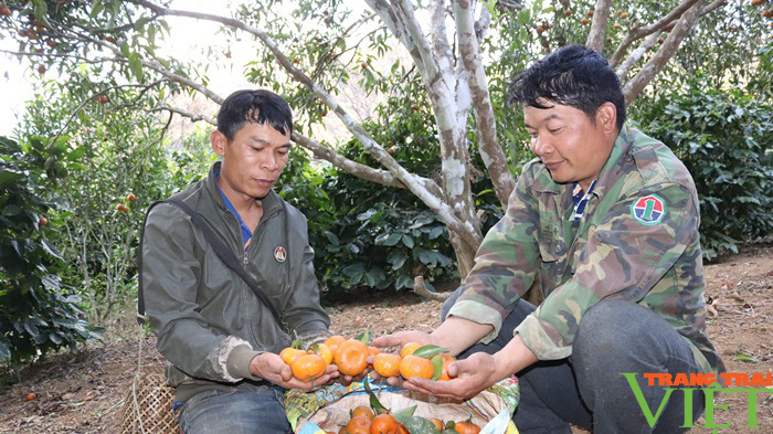 Nông dân Sơn La góp đồng lòng, góp sức xây dựng NTM - Ảnh 4. Nông dân Sơn La góp đồng lòng, góp sức xây dựng NTM - Ảnh 4.