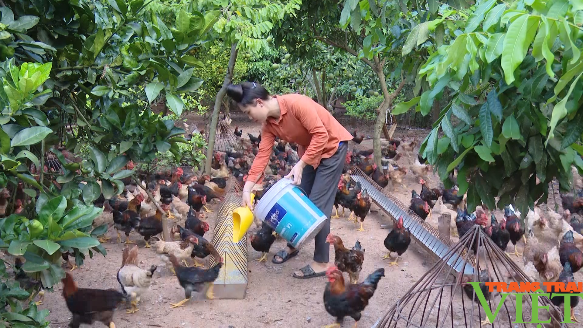 Nông dân Sơn La góp đồng lòng, góp sức xây dựng NTM - Ảnh 6. Nông dân Sơn La góp đồng lòng, góp sức xây dựng NTM - Ảnh 6.