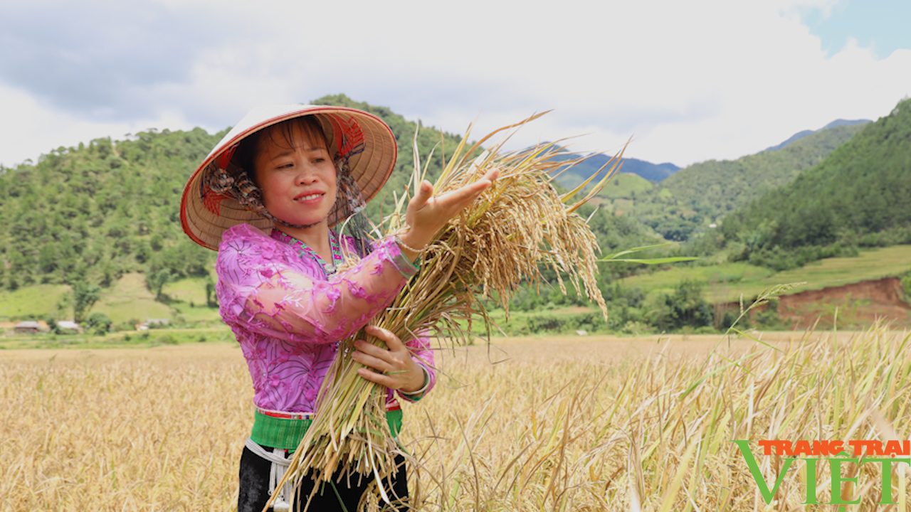 Nông dân Sơn La góp đồng lòng, góp sức xây dựng NTM - Ảnh 9. Nông dân Sơn La góp đồng lòng, góp sức xây dựng NTM - Ảnh 9.