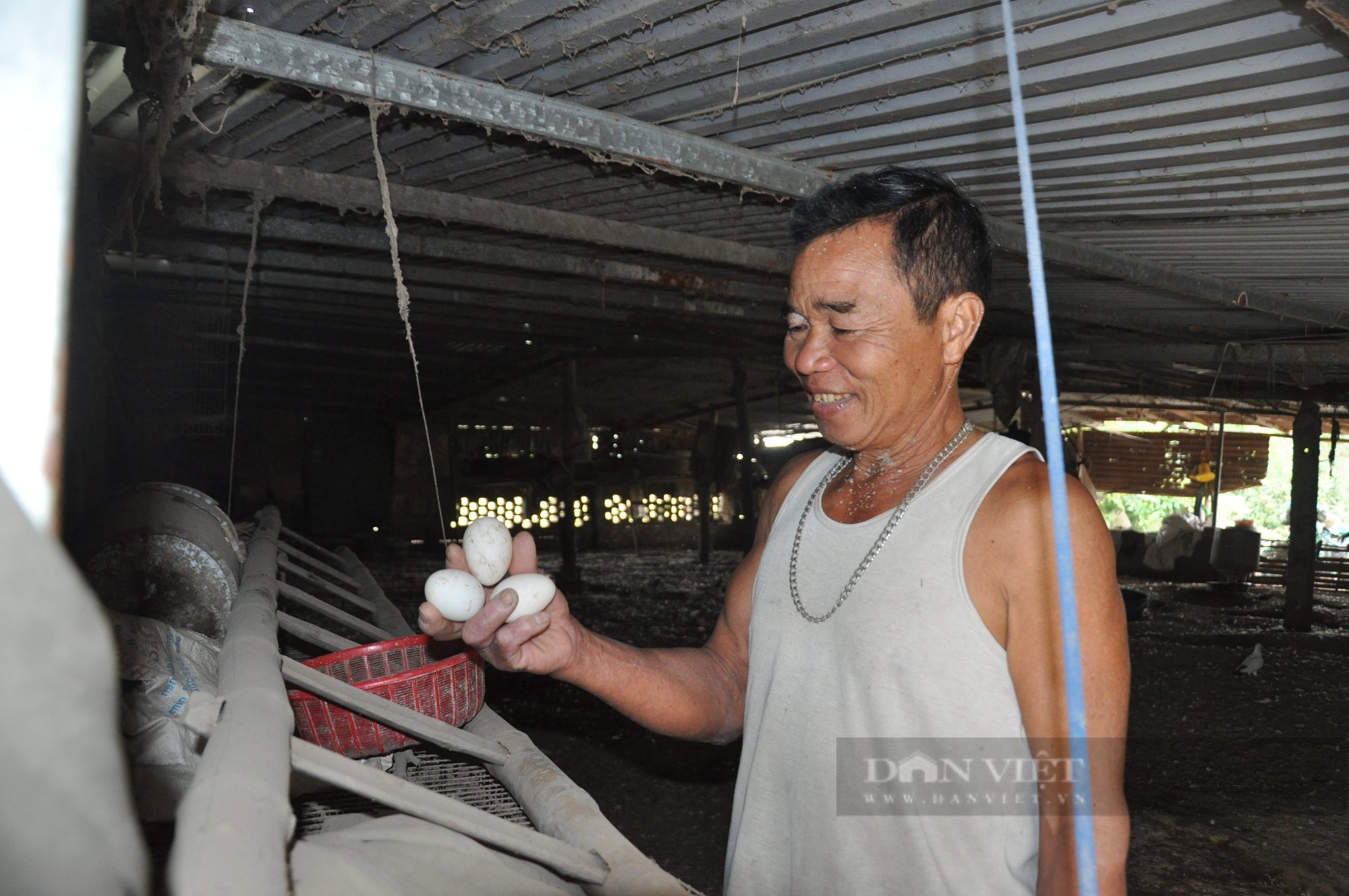 Những giáo dân tiên phong sống tốt đời, đẹp đạo ở Thanh Oai: Triệu phú đa canh ở thôn Trên (Bài 1) - Ảnh 3.