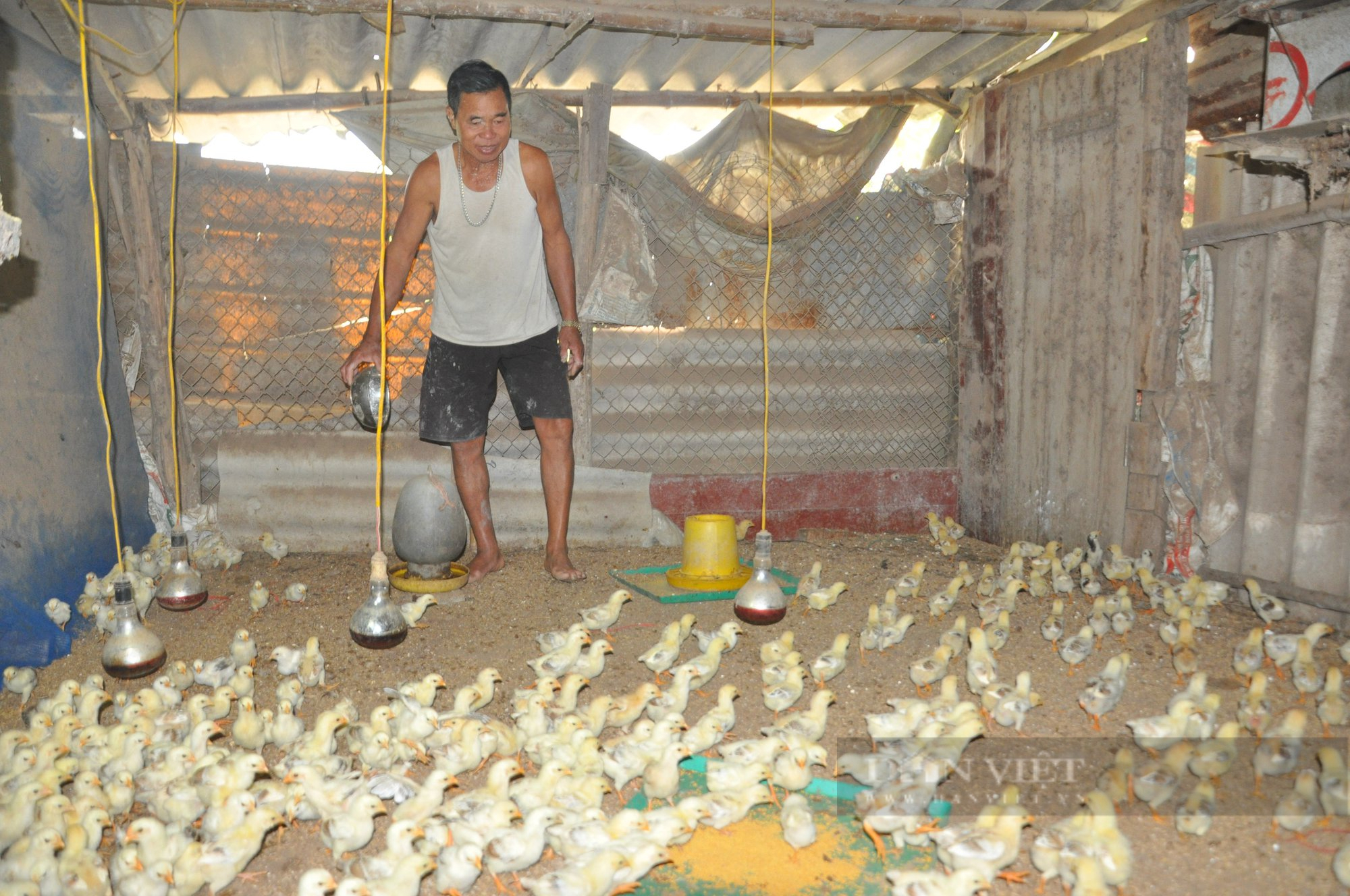 Thanh Oai xuất hiện ngày càng nhiều tấm gương người công giáo điển hình tiên tiến xuất sắc (Bài cuối) - Ảnh 4.