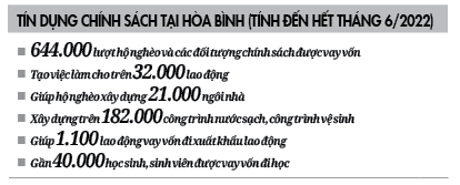 Có vốn ưu đãi, nhà nông Hoà Bình vươn lên làm giàu - Ảnh 4.