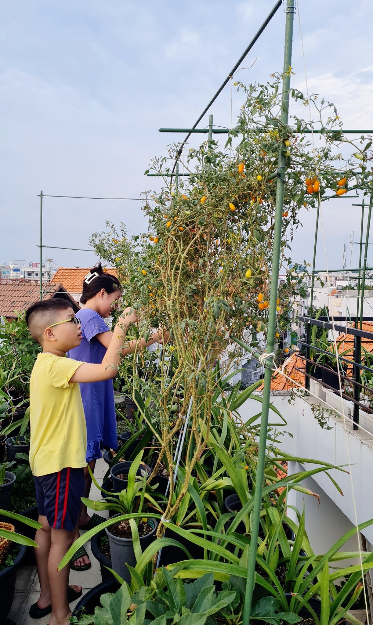 Choáng ngợp &quot; vườn quê &quot; giữa phố của mẹ đảm sống tại TP. Hồ Chí Minh - Ảnh 3.