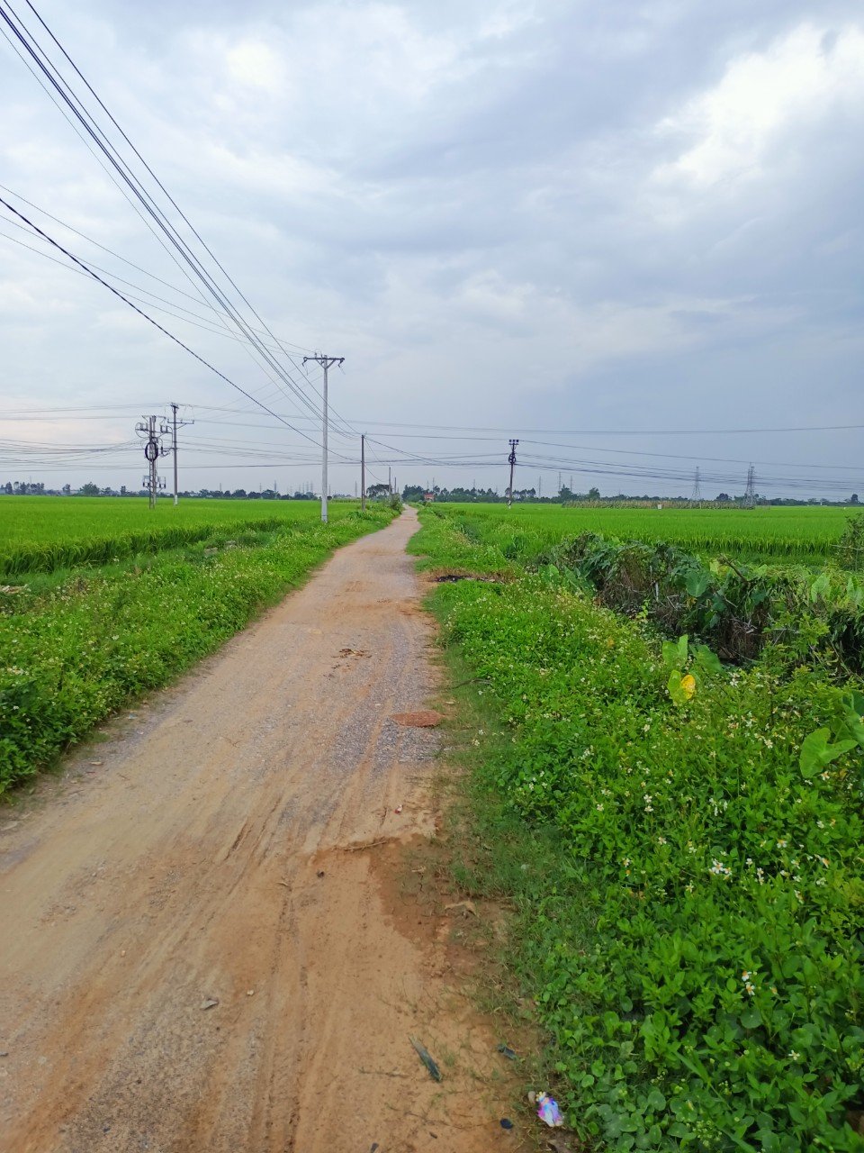 Kể chuyện làng: Đường quê ký ức tươi màu - Ảnh 3.