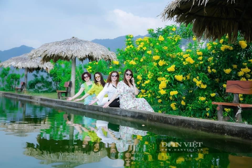 Khám phá Kolia Nguyên Bình, đồi chè đẹp mơ màng thu hút du khách trên đỉnh vùng cao - Ảnh 6.