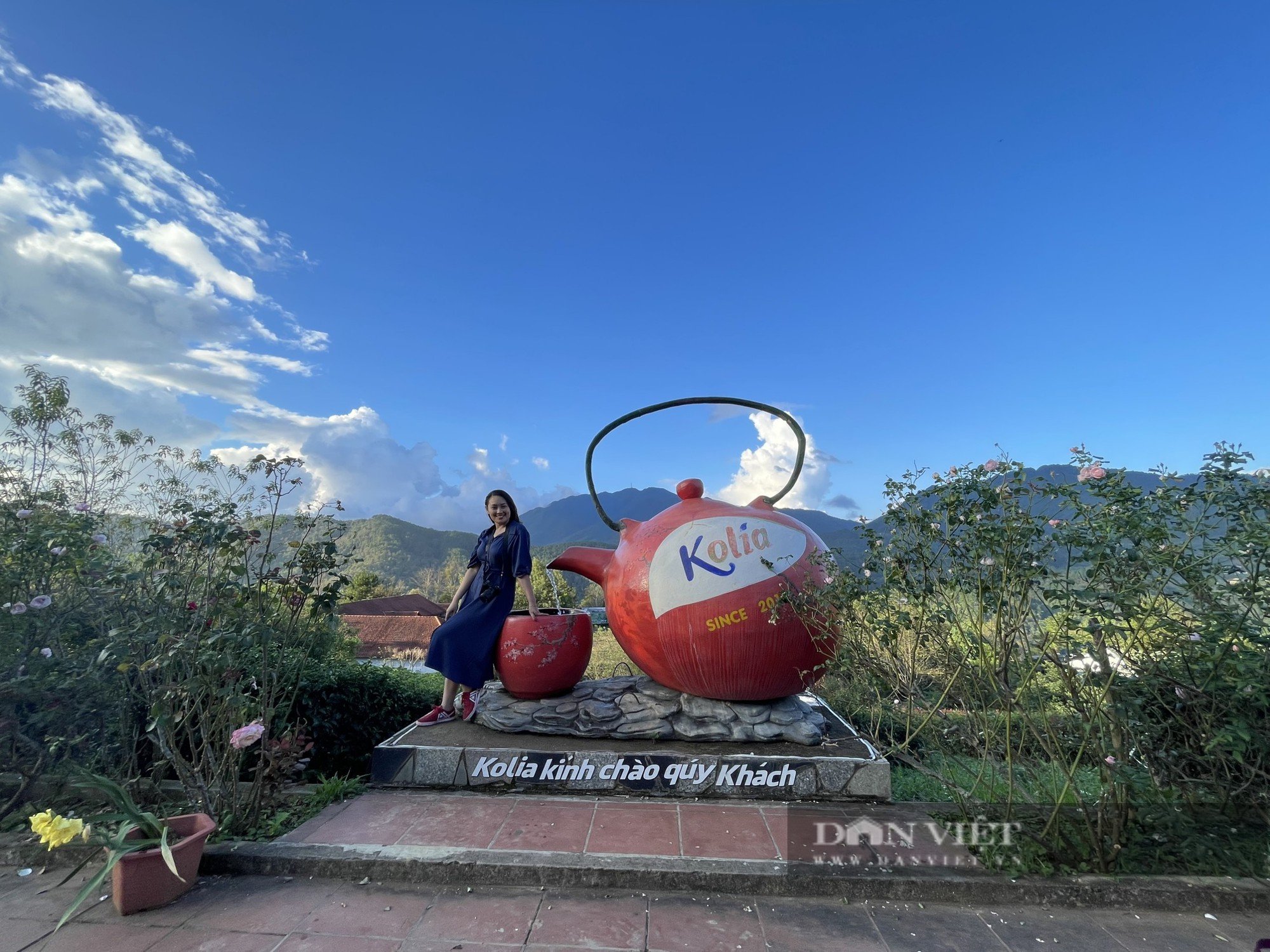 Khám phá Kolia Nguyên Bình, đồi chè đẹp mơ màng thu hút du khách trên đỉnh vùng cao - Ảnh 7.