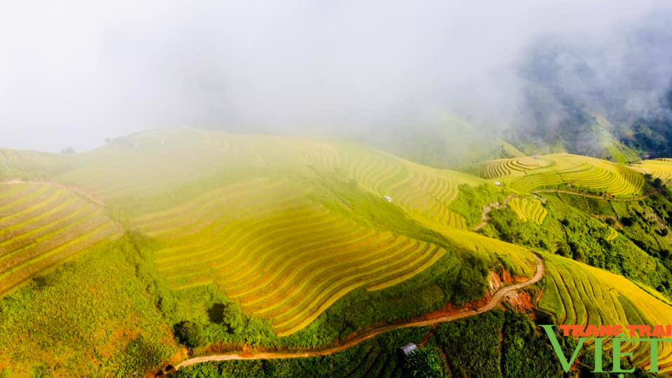 Mùa vàng trên những thửa ruộng bậc thang ở xã vùng cao Sơn La - Ảnh 2.