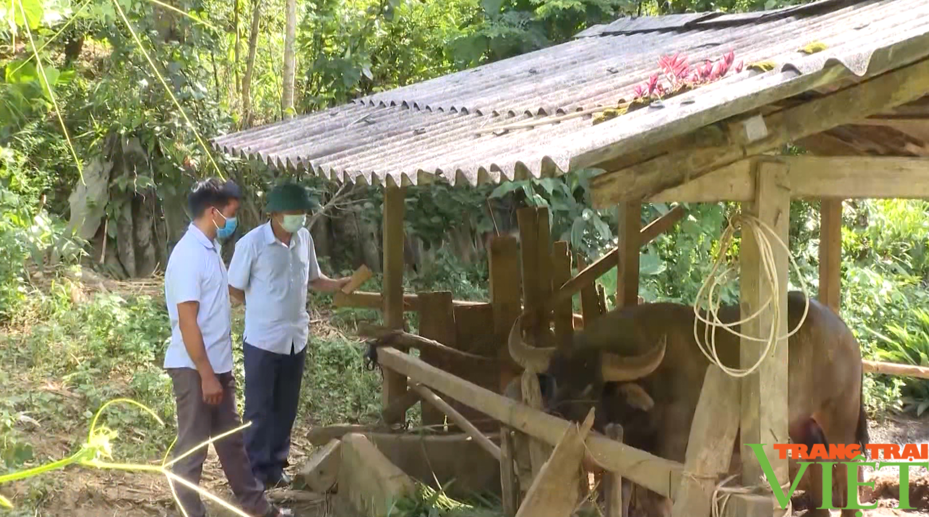 Giải pháp để người dân vùng cao Lai Châu phát triển kinh tế - Ảnh 5. Giải pháp để người dân vùng cao Lai Châu phát triển kinh tế - Ảnh 5.