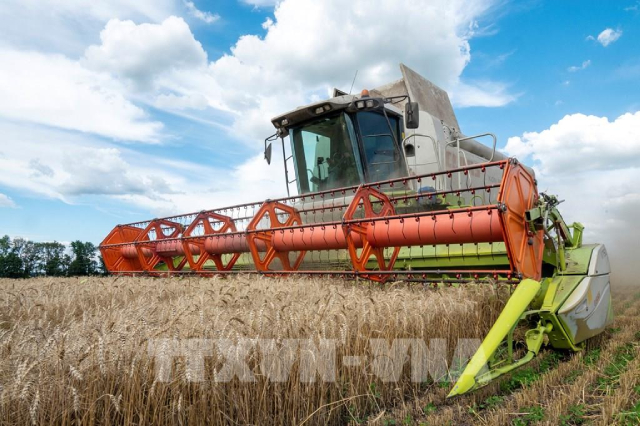 Ukraine dự báo sản lượng ngũ cốc có thể giảm 50% trong năm 2023 - Ảnh 1. Ukraine dự báo sản lượng ngũ cốc có thể giảm 50% trong năm 2023 - Ảnh 1.