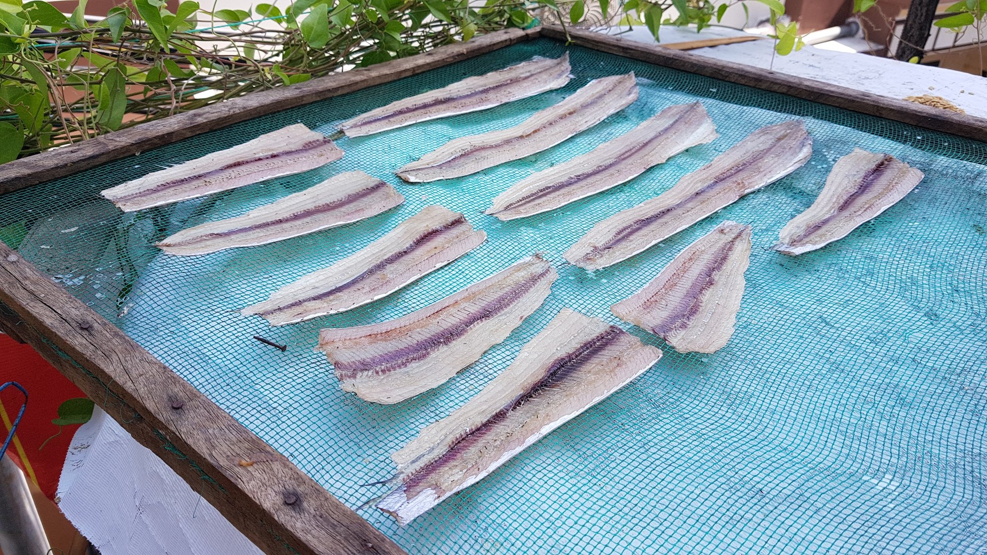 Kể chuyện làng: Chiếc vỉ phơi và niềm vui của dân làng chài - Ảnh 1.