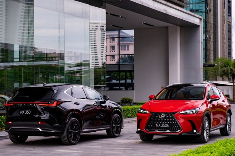 Triệu hồi loạt xe sang Lexus NX350 tại Việt Nam dính lỗi nguy hiểm - Ảnh 2.