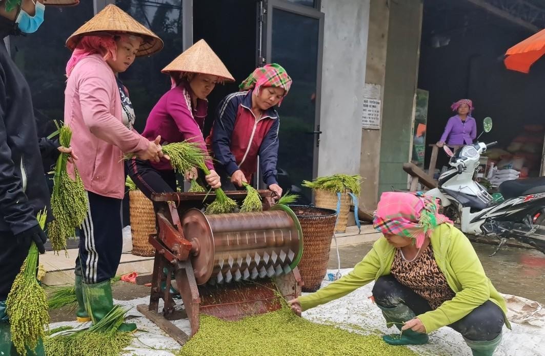 Cốm Tú Lệ, cực phẩm của đất trời - Ảnh 5.