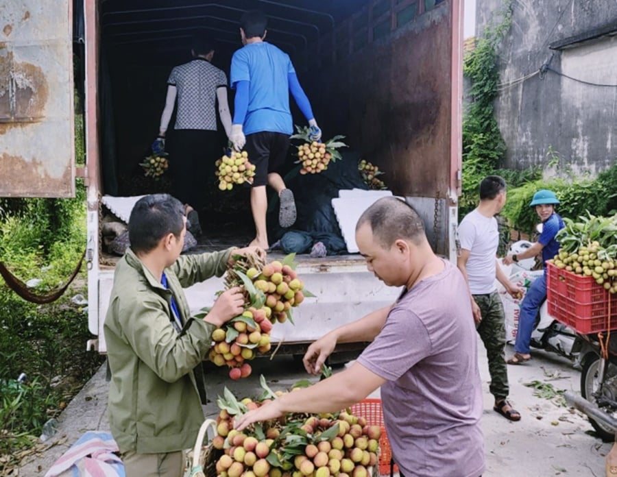 Có mã số vùng trồng, nông sản được nâng tầm giá trị - Ảnh 1. Có mã số vùng trồng, nông sản được nâng tầm giá trị - Ảnh 1.