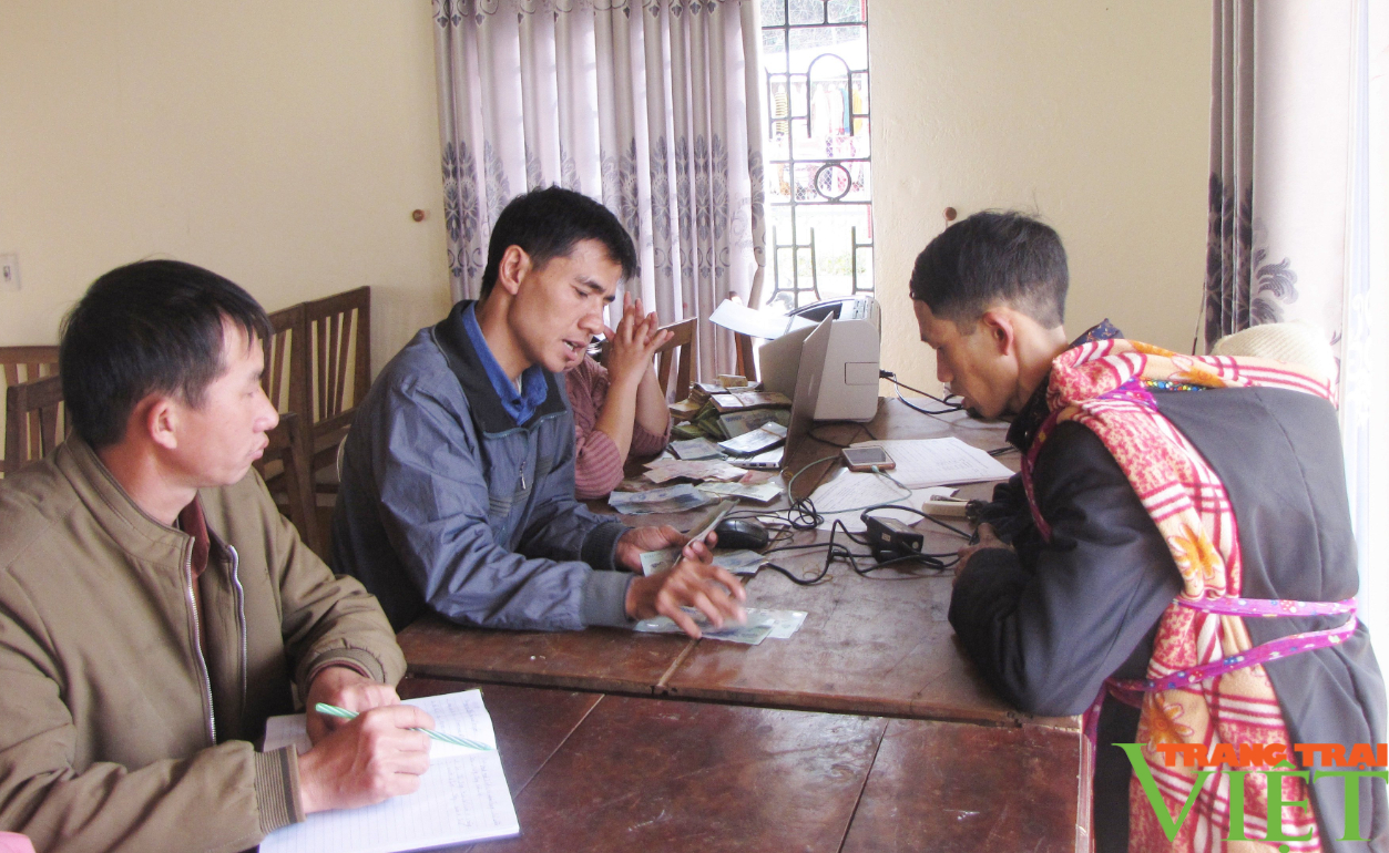 Nguồn lợi để người dân Lai Châu bảo vệ rừng - Ảnh 1. Nguồn lợi để người dân Lai Châu bảo vệ rừng - Ảnh 1.