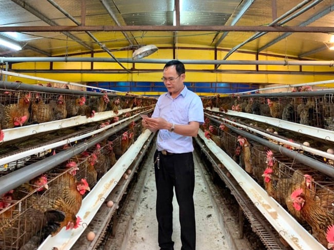 Đưa công nghệ cao vào lai tạo giống bò 3B trên nền bò thịt lai Sind, tạo ra giá trị trên 12.000 tỷ đồng - Ảnh 2.