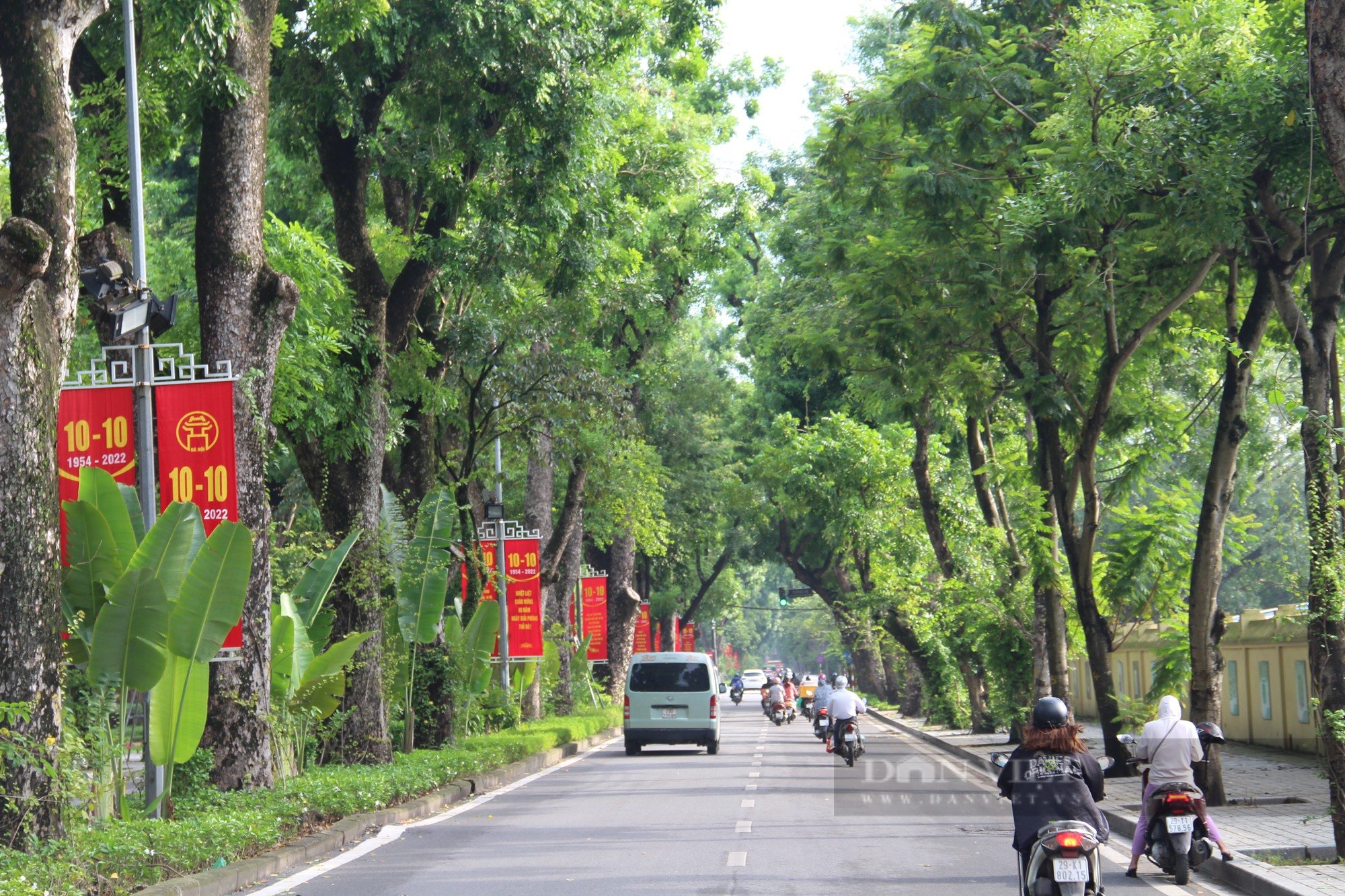 Ngỡ ngàng trước hình ảnh con phố rợp bóng cây xanh, &quot;lãng mạn nhất Hà Nội&quot; - Ảnh 2.