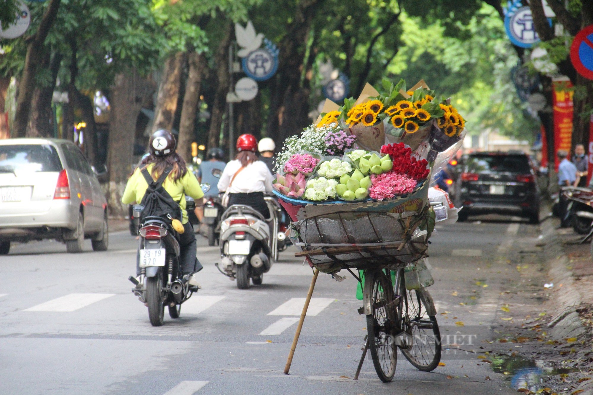 Ngỡ ngàng trước hình ảnh con phố rợp bóng cây xanh, &quot;lãng mạn nhất Hà Nội&quot; - Ảnh 7.